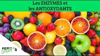Miniature : LES ENZYMES ET LES ANTIOXYDANTS
