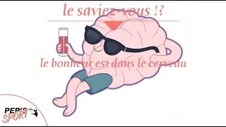 Miniature : Le saviez-vous : le bonheur est dans le cerveau