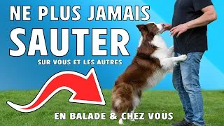 Miniature : APPRENDRE à NE PAS SAUTER SUR LES GENS