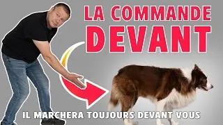 Miniature : APPRENDRE A MARCHER DEVANT