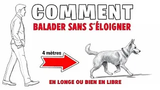 Miniature : BALADER SON CHIEN EN LONGE