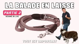 Miniature : LA BALADE EN LAISSE - 2 (Exercices)