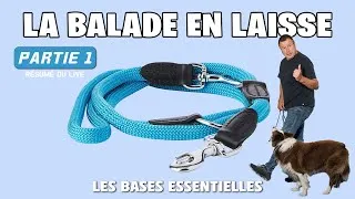 Miniature : LA BALADE EN LAISSE - 1