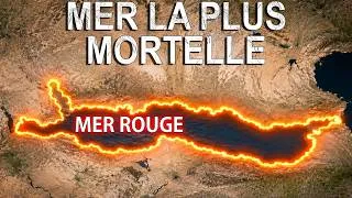 Miniature : Pourquoi ne faut il rien toucher dans la mer Rouge ？