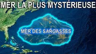Miniature : L’effrayante mer des Sargasses ： la mer sans rivage