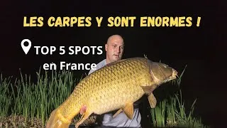 Miniature : Où pêcher la Carpe en France ? Les 5 spots incontournables