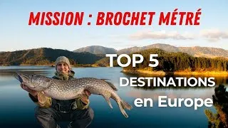 Miniature : 5 destinations où les BROCHETS SONT ENORMES - Tous les conseils pour préparer ton Voyage de Pêche
