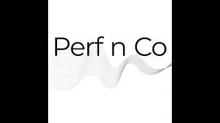 Miniature : Présentation Perf n Co