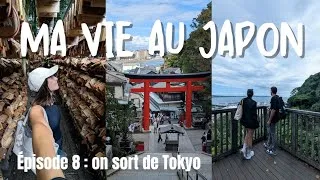 Miniature : LES 3 PLUS BELLES EXCURSIONS À 1H DE TOKYO 