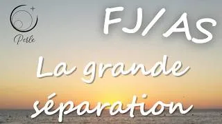 Miniature : Chronique  FJ : La grande séparation en aboutissement de parcours 