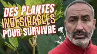 Miniature : La nature et les mauvaises herbes une sécurité alimentaire pour l'avenir ? Vidéo discussion