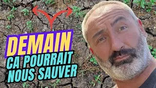 Miniature : Mauvaises herbes, indésirables ou adventices du jardin pourraient un jour nous sauver !