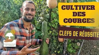 Miniature : 🎃 Cultiver des courges, potirons, citrouilles etc. : Clefs de Réussite 🏅