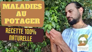 Miniature : ➡️ Recette facile anti-maladies au potager 100% naturelle! 🌱