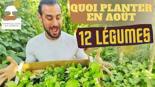 Miniature : 12 Légumes à Planter et à Semer en Août pour anticiper le potager d'automne/hiver ! 🌱