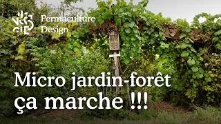 Miniature : Comment créer un micro jardin-forêt productif !