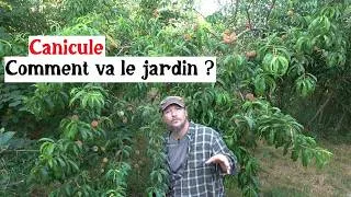 Miniature : Canicule : comment résiste le jardin ?