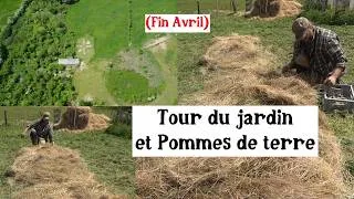 Miniature : Plantation des Pommes de Terre (+ Petit Tour du Jardin)