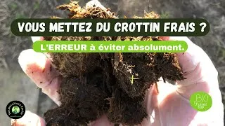 Miniature : Crottin de cheval : l'engrais gratuit qui surpasse tous les autres