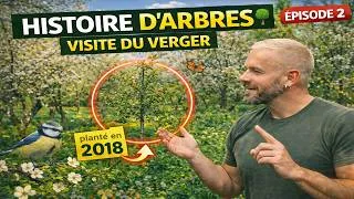 Miniature : Verger en avril 🌳 plantation, taille et évolution de mes arbres fruitiers (Épisode 2)
