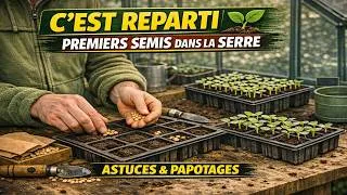 Miniature : 🌱1er Semis en serre 2026 : Astuces jardinage bio + papotages jardin potager maison 🌱Graines Lidl & +