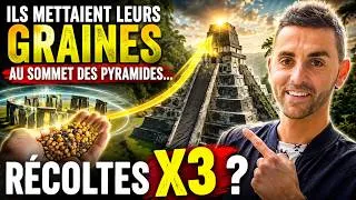 Miniature : Posez vos GRAINES ICI… et TRIPLEZ VOS RÉCOLTES !? Loïc Etcheberry Électroculture pyramide Permafutur