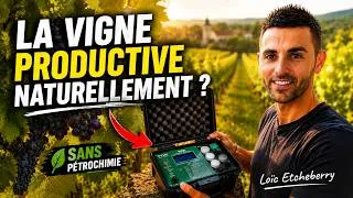 Miniature : La VIGNE PRODUCTIVE NATURELLEMENT sans pétrochimie ? PPSM Loïc Etcheberry