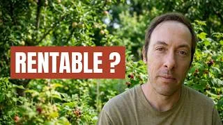 Miniature : Forêt jardin et maraîchage : est-ce vraiment rentable ?