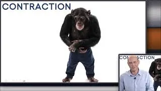 Miniature : Extraits Conf Chimpanzé et écolier