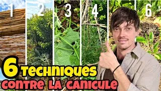 Miniature : Les 6 MEILLEURS TECHNIQUES contre la canicule au jardin + visite du POTAGER