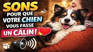 Miniature : Sons pour que votre chien vous fasse un câlin