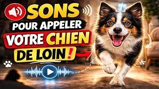 Miniature : Sons pour appeler votre chien de loin