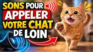 Miniature : Sons pour appeler votre chat de loin