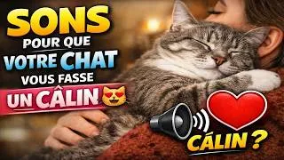 Miniature : Sons pour que votre chat vous fasse un câlin