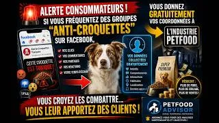 Miniature : La vérité cachée sur les groupes anti-croquettes : vous financez le Petfood sans le savoir