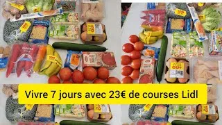 Miniature : Retour de course petit budget à 23€ Lidl pour tous les repas et desserts de la semaine 