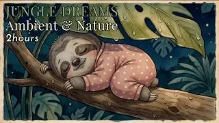 Miniature : Sleep in a rainy jungle 🌿 2 hours of tropical forest ambient