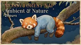 Miniature : Mossy Dreams 🍃 2 hours of Ambient Music & Nature Sounds | Petite Lune Music