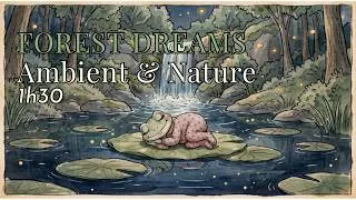Miniature : Forest Dreams 🌿 1h30 of Ambient Music & Nature Sounds | Petite Lune Music