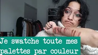 Miniature : Je swatch toutes mes palettes par catégorie de couleurs