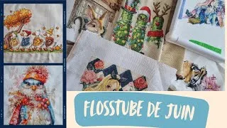 Miniature : FlossTube Juin ☀️ Canicule & petites croix #crossstitch #flosstube