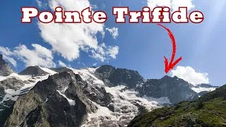 Miniature : Pointe Trifide - La Grave - Alpes