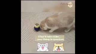 Miniature : Jouet Distributeur de Croquettes & Friandises pour Chat & Chien 🐶 | Manger en Jouant