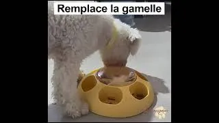 Miniature : Distributeur Automatique Ludique pour Chien 🐶 | Manger en S’amusant & Anti‑Ennui