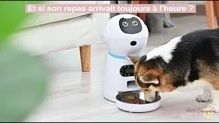 Miniature : Distributeur de Croquettes Automatique Programmable 🐱🐶 | Kinoah le Petit Robot