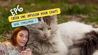 Miniature : Ep6 - Créer une infusion pour chats, ça y est on bloque ! 🤯🍵