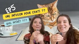 Miniature : EP 5 - Infusion pour chats : quel intérêt ? 😼🍵