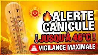 Miniature : Alerte canicule en Algérie : températures extrêmes et vigilance maximale