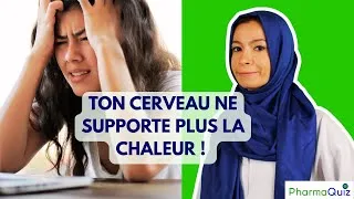 Miniature : Tu te sens irritable à cause du soleil ? Voici pourquoi !