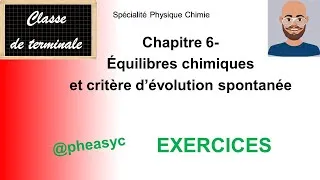 Miniature : Chapitre 6-Équilibres chimiques et critère d’évolution spontanée (spécialité chimie en terminale)